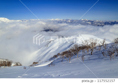 厳冬期の八方尾根の風景 117552157