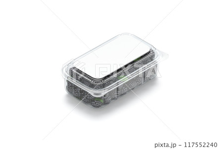 Blank transparent plastic box with blackberry mockup, side view 117552240