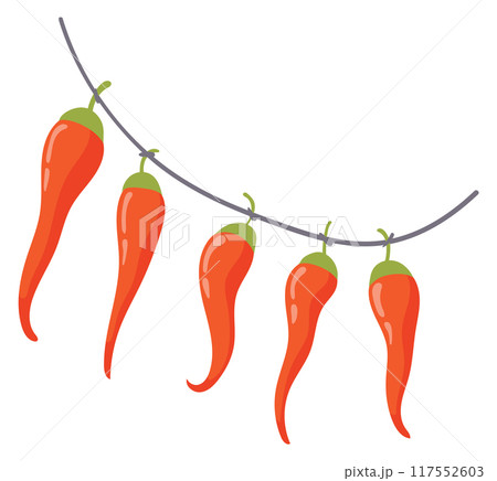 Red peppers hanging on string. Drying vegetables 117552603