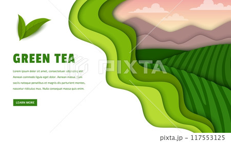 Paper cut tea plantation landing page vector template. Tea green leaves, terraced hills, farm fields and gardens, mountains, sky and clouds landscape web banner with 3d paper cut wavy green borders Paper cut tea plantation landing page vector template. Tea green leaves, terraced hills, farm fields and gardens, mountains, sky and clouds landscape web banner with 3d paper cut wavy green borders 117553125