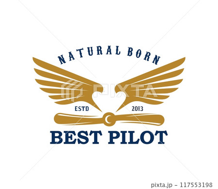 Airplane and aircraft icon for aviation or best pilot with natural born quote, vector emblem. Airplane propeller with eagle bird wings for t shirt print for air crew, aviation academy or pilot school 117553198