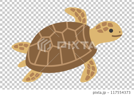Cute sea turtle illustration 117554373