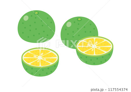 マンゴーのイラスト 117554374