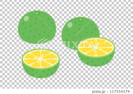 Illustration of mango Illustration of mango 117554374