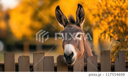 A donkey looking over a wooden fence with yellow leaves, AI 117554699