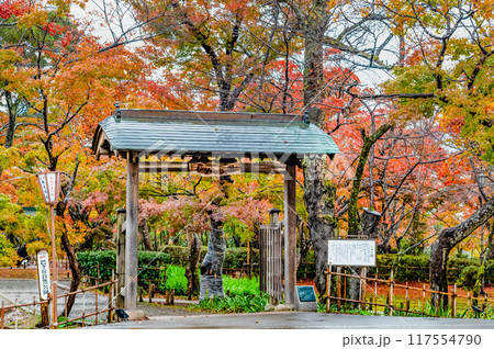 新潟 紅葉に染まるもみじ園 117554790
