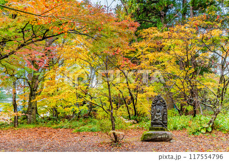 新潟 紅葉に染まるもみじ園 新潟 紅葉に染まるもみじ園 117554796