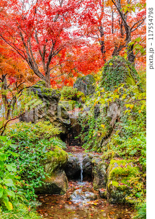 新潟 紅葉に染まるもみじ園 117554798