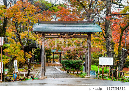 新潟 紅葉に染まるもみじ園 117554811