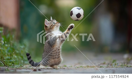 A cat playing with a soccer ball on the ground, AI 117554924