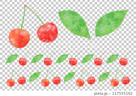 櫻桃 117555102