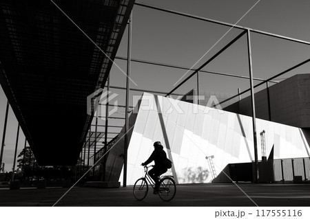 Carlton Gardens in Melbourne Australia 117555116