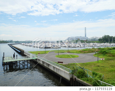 夢の島大橋から見る夢の島マリーナ 117555119