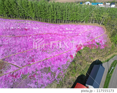 北海道大空町のひがしもこと芝桜公園の空撮 117555173
