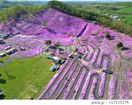 北海道大空町のひがしもこと芝桜公園の空撮 117555174