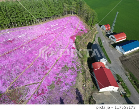 北海道大空町のひがしもこと芝桜公園の空撮 117555175