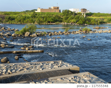 大和川に設置された柏原堰堤の夏景色 117555348