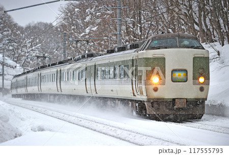 信越本線 妙高高原ー黒姫 JR東日本 189系 N102編成(長野) 妙高 信越本線 妙高高原ー黒姫 JR東日本 189系 N102編成(長野) 妙高 117555793