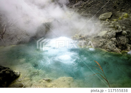 玉川温泉 玉川温泉 117555838