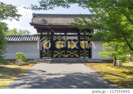 京都 醍醐寺三宝院 唐門(勅使門) 京都 醍醐寺三宝院 唐門(勅使門) 117555845