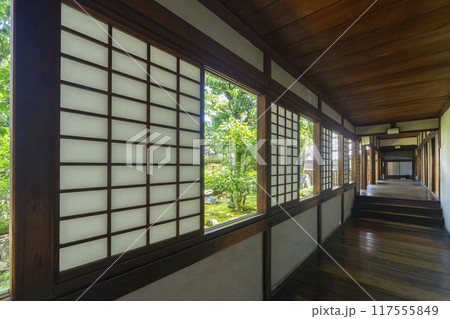 京都　醍醐寺塔頭　三宝院　美しい三宝院庭園 117555849