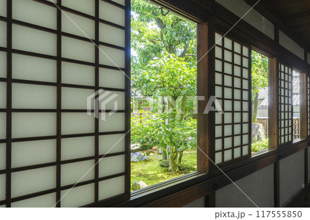 京都　醍醐寺塔頭　三宝院　美しい三宝院庭園 117555850