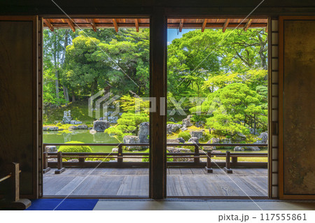 京都　醍醐寺塔頭　三宝院　美しい三宝院庭園 117555861