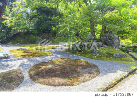 醍醐寺三宝院庭園 酒づくしの庭 醍醐寺三宝院庭園 酒づくしの庭 117555867
