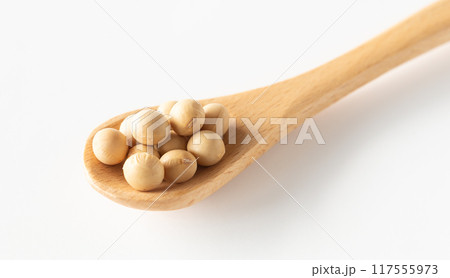 スプーンにのった大豆 生豆 粒 豆類 スプーンにのった大豆 生豆 粒 豆類 117555973