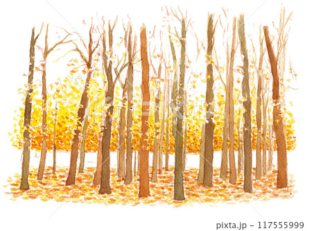 水彩で描いた秋の紅葉 117555999