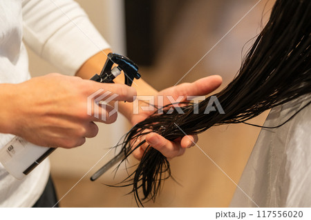 beauty parlor 117556020