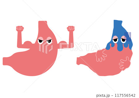 元気な胃と調子の悪い胃 117556542