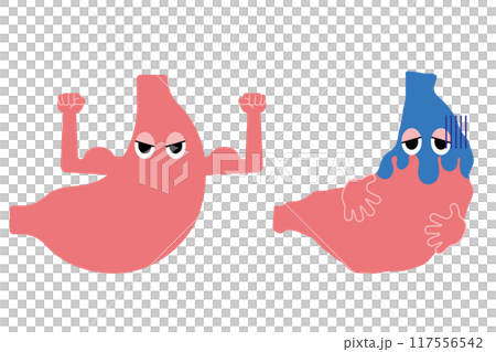 元気な胃と調子の悪い胃 117556542