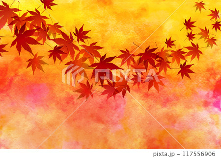紅葉 もみじ 秋 背景 紅葉 もみじ 秋 背景 117556906