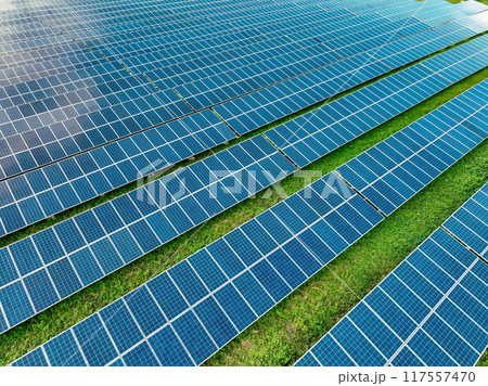 Solar farm and sun light. Solar power for green energy. Sustainable renewable energy. Photovoltaic power station. Solar panel technology. Energy sustainability. Eco-friendly green energy production. 117557470