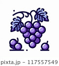 枝についた紫の葡萄のイラスト 117557549