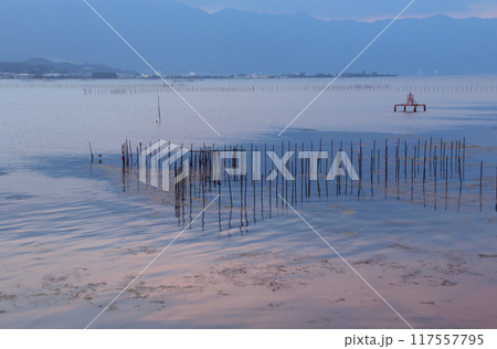 琵琶湖伝統の漁法エリ漁の杭 117557795