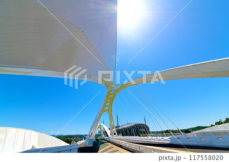 斬新なデザインの 豊田大橋 斬新なデザインの 豊田大橋 117558020