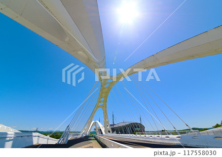 斬新なデザインの　豊田大橋 117558030