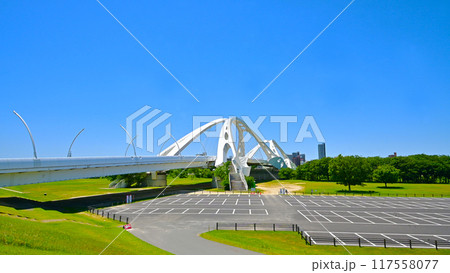 白い色と形が美しい 豊田大橋 白い色と形が美しい 豊田大橋 117558077