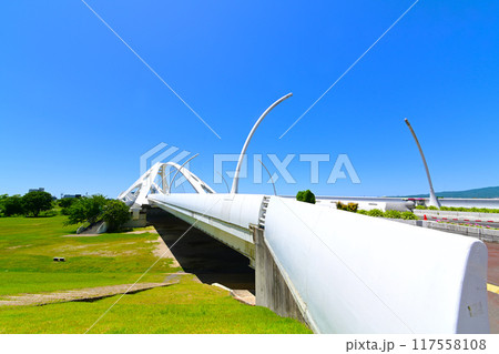 白い色と形が美しい　豊田大橋 117558108