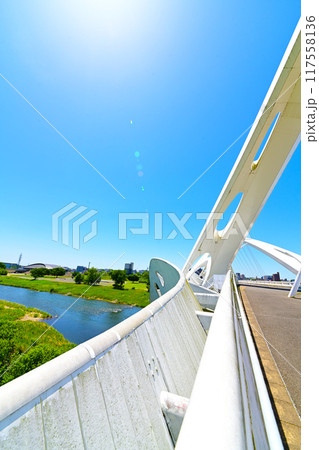 豊田大橋と矢作川 117558136