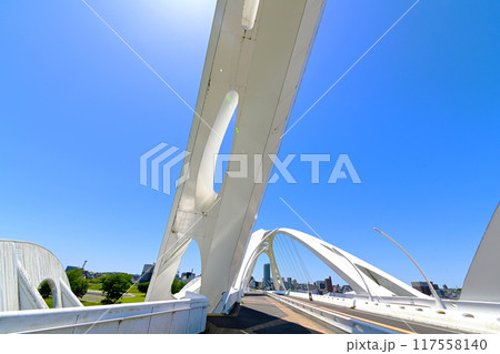 斬新なデザインの 豊田大橋 斬新なデザインの 豊田大橋 117558140