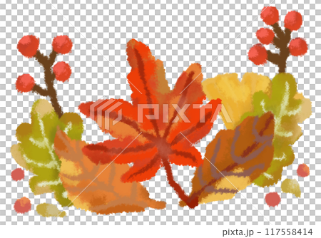 A set of fallen leaves, including red maples 117558414