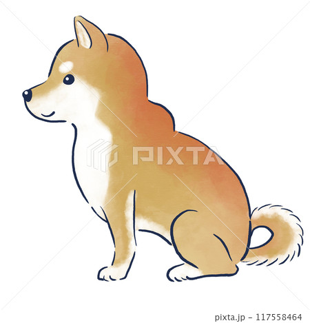 お座りする柴犬の横向き水彩の手描きイラスト 117558464