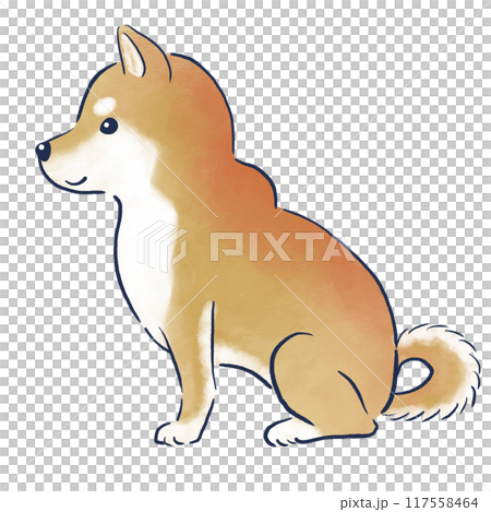 お座りする柴犬の横向き水彩の手描きイラスト 117558464