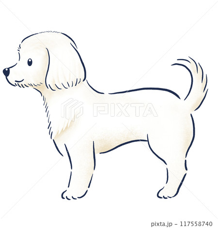 立っているマルチーズ横向き色鉛筆の手描きイラスト 立っているマルチーズ横向き色鉛筆の手描きイラスト 117558740