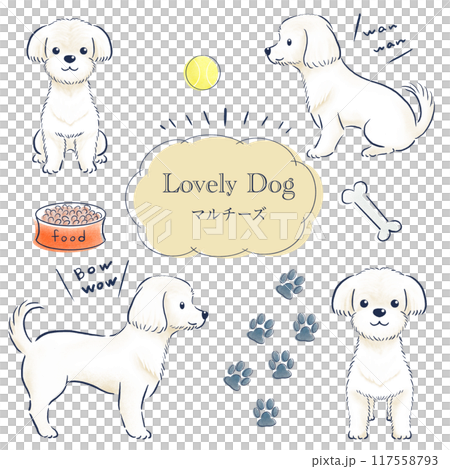 Maltese colored pencil hand-drawn illustration set Maltese colored pencil hand-drawn illustration set 117558793