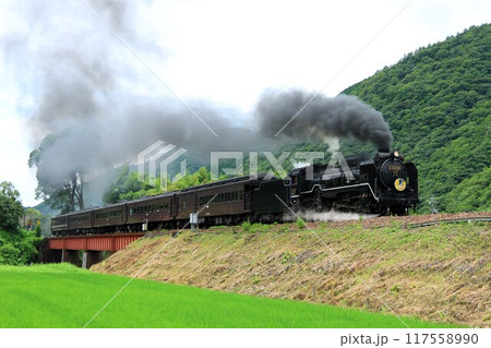 【JR西日本】D51形+35系「SLやまぐち号」(山口線:長門峡〜渡川) 【JR西日本】D51形+35系「SLやまぐち号」(山口線:長門峡〜渡川) 117558990