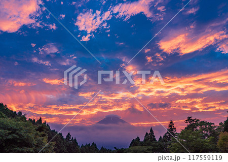 【静岡県】乙女森林公園から眺める、爆焼けの夕暮れ富士 117559119